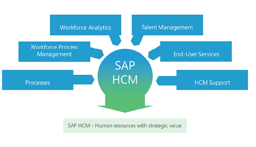 ERPHUB-sap-hcm-training
