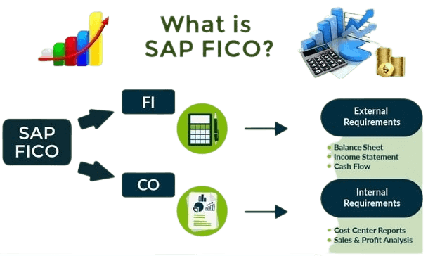 what-ERPHUB-is-sap-fico.png